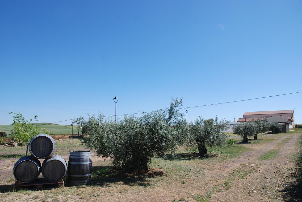 Casa Rural Teso De La Encina Villamor de los Escuderos Esterno foto