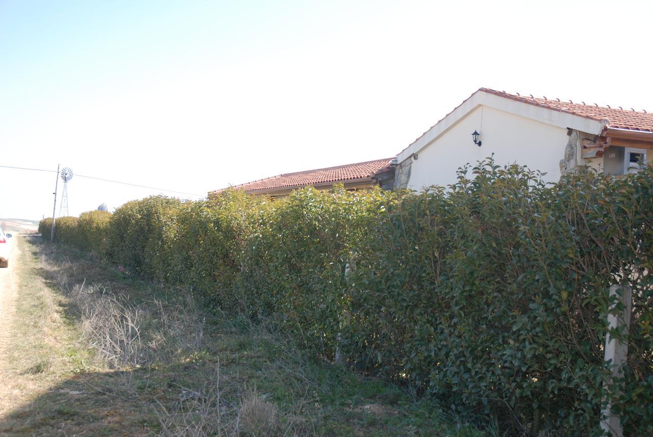 Casa Rural Teso De La Encina Villamor de los Escuderos Esterno foto