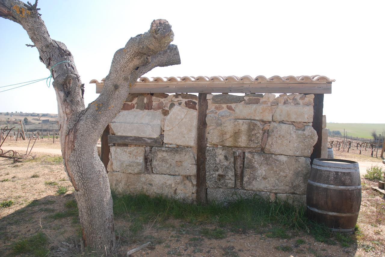 Casa Rural Teso De La Encina Villamor de los Escuderos Esterno foto